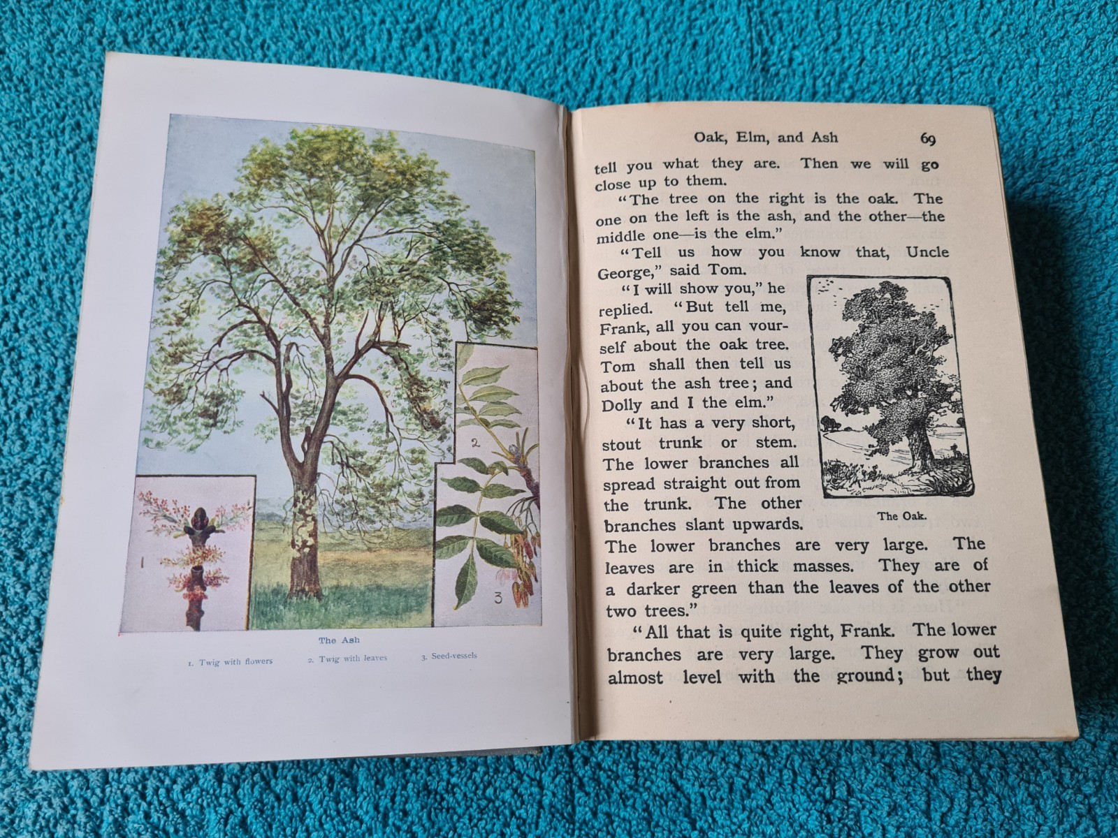 The Look About You Nature Book, Books 1 to 7 in one volume, T.C. & E.C. Jack