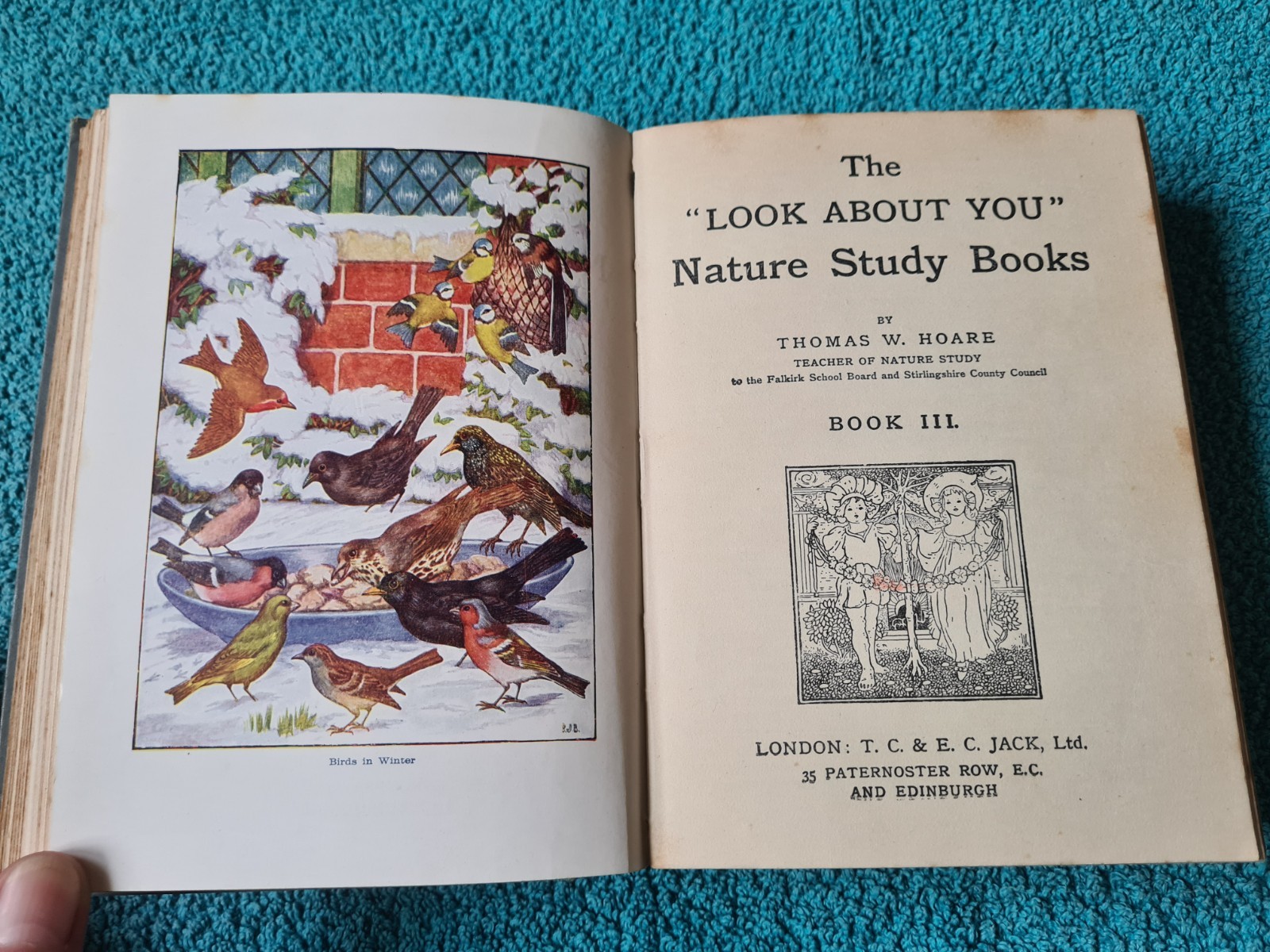 The Look About You Nature Book, Books 1 to 7 in one volume, T.C. & E.C. Jack