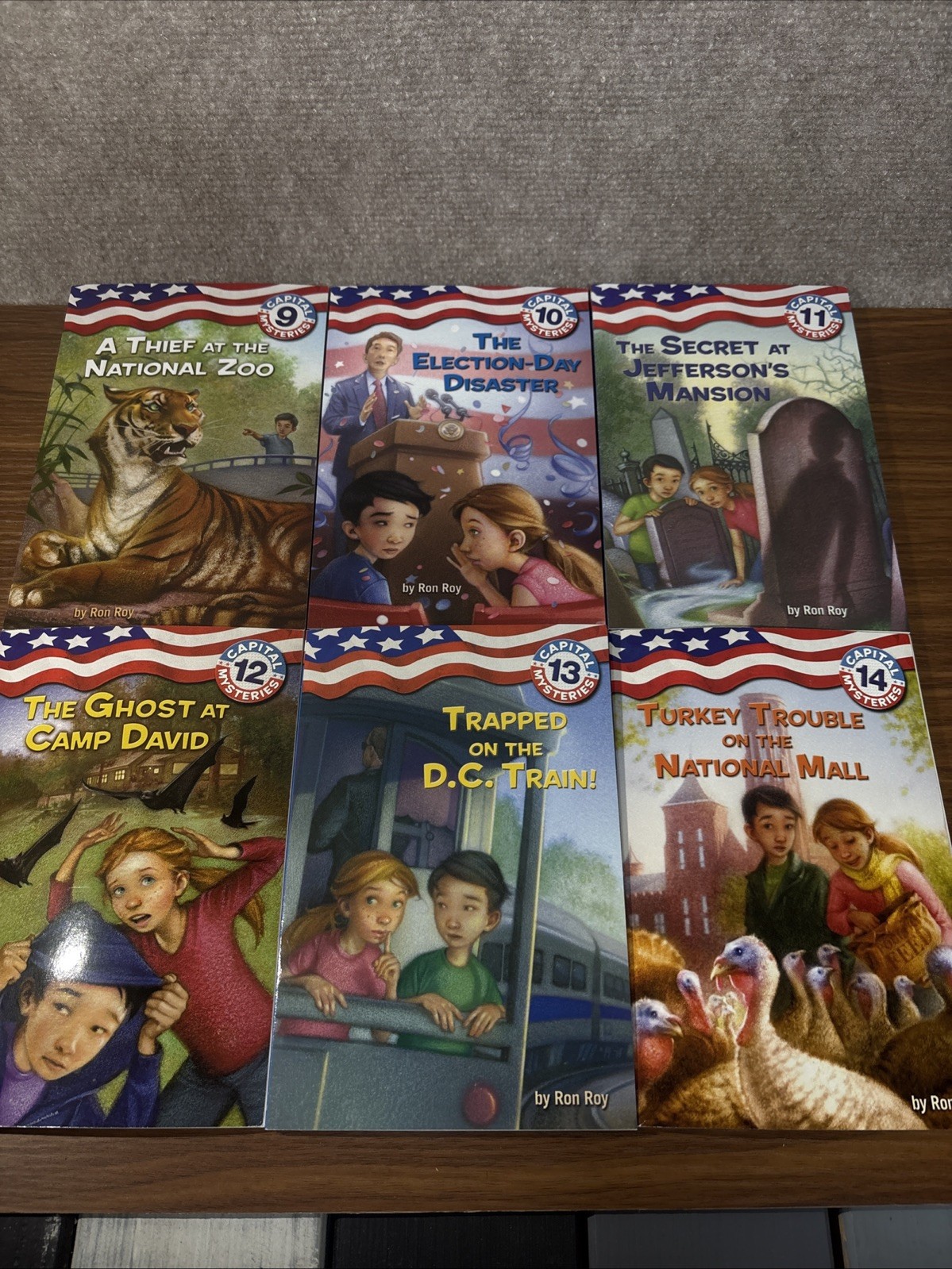 CAPITAL MYSTERIES Ron Roy Chapter Books Complete Series Lot 1-14 Bundle Kids
