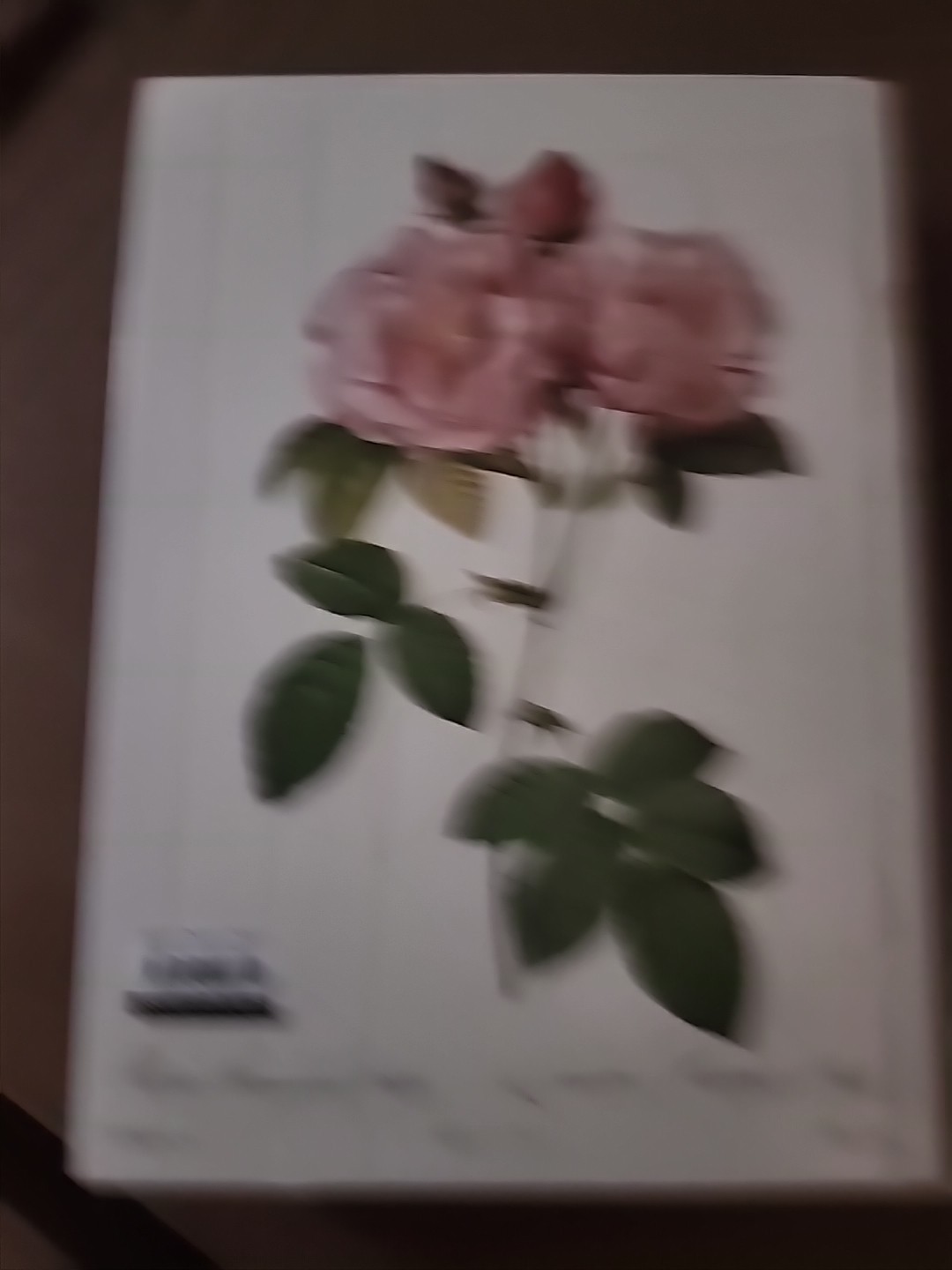 The Book Of Flowers By Pierre Joseph Redoute Taschen Like New