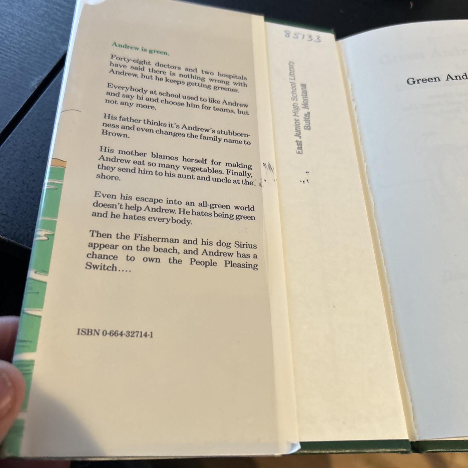 GREEN ANDREW GREEN BY ISABELLE HOLLAND, HARDCOVER , EX LIBRARY WITH DJ