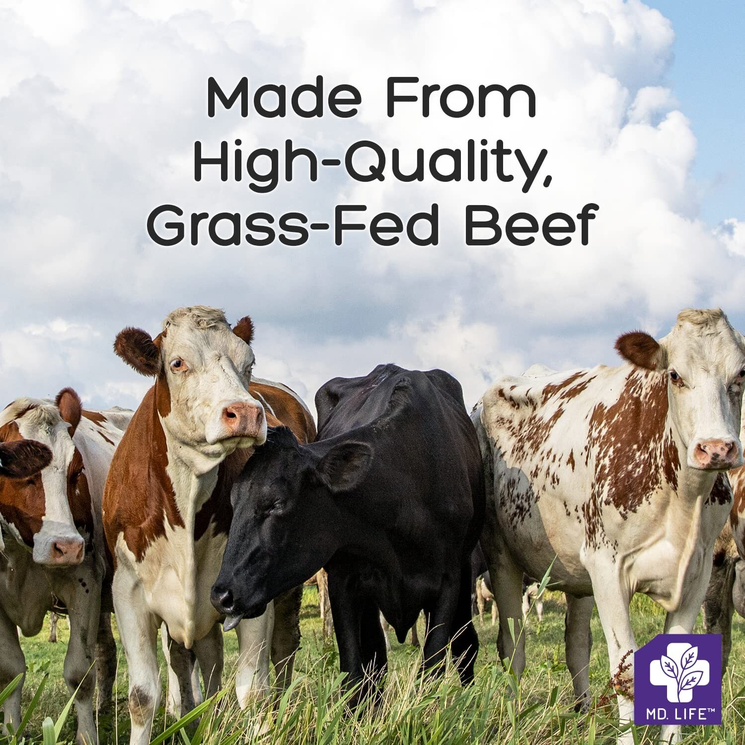 Nourishing Food-Grade Grass-Fed Beef Tallow – 28 oz Cooking Oil Replacement