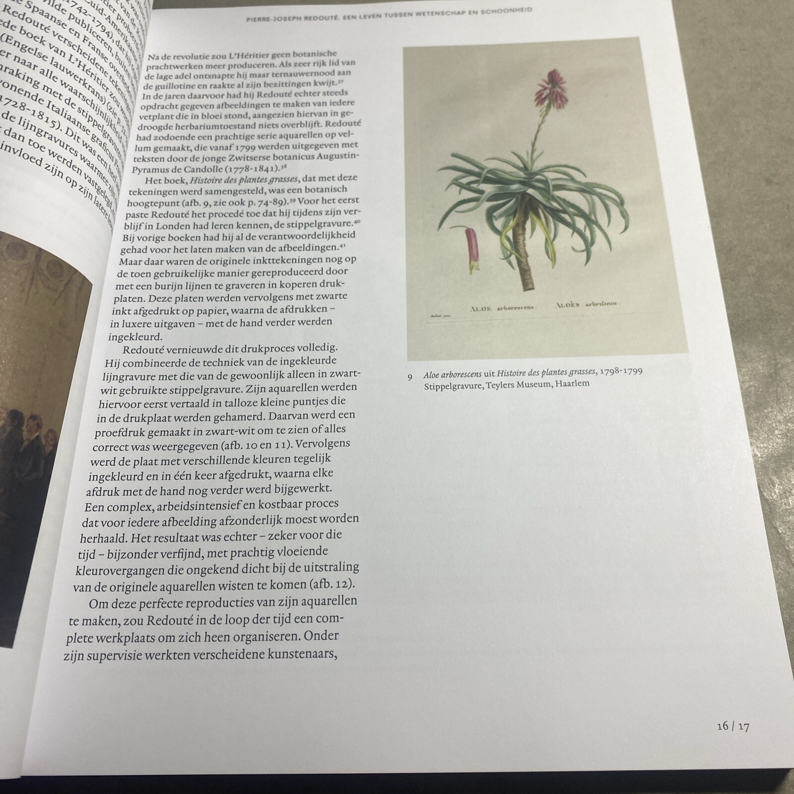 Pierre-Joseph Redoute, Botanisch Tekenaar voor het Franse hof / MUN