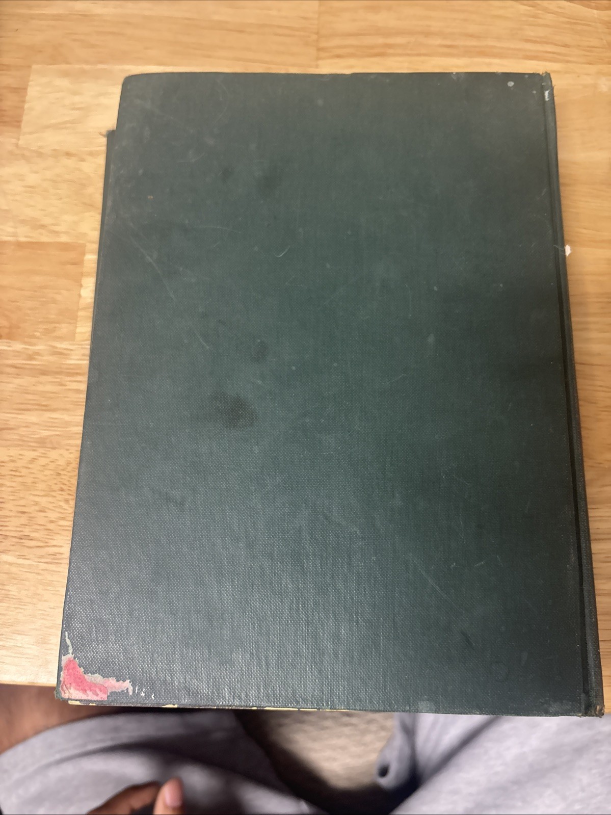 1931 Vintage PIRATES IN OZ HC Ruth Plumly Thompson 1931 11 Of 12 Color Plates