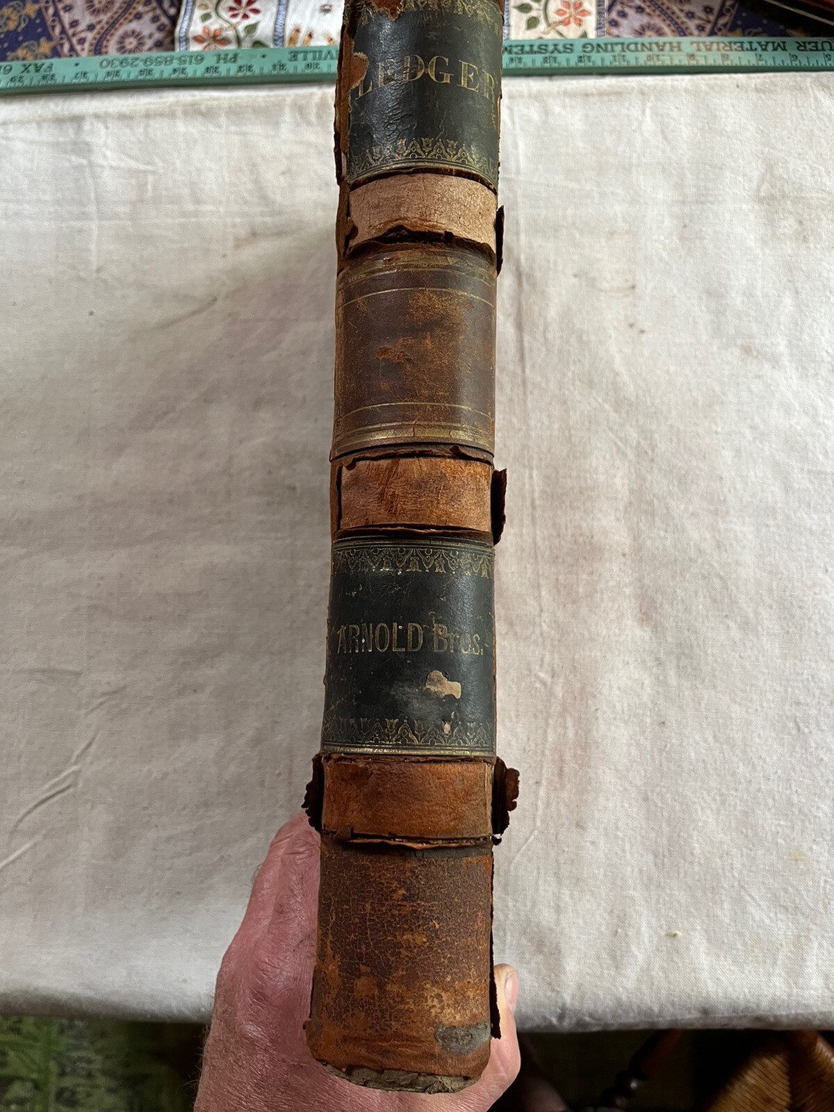 1876 Arnold Bros. Dry Goods 480 Full Pages Ledger Wartrace TN History Geneology