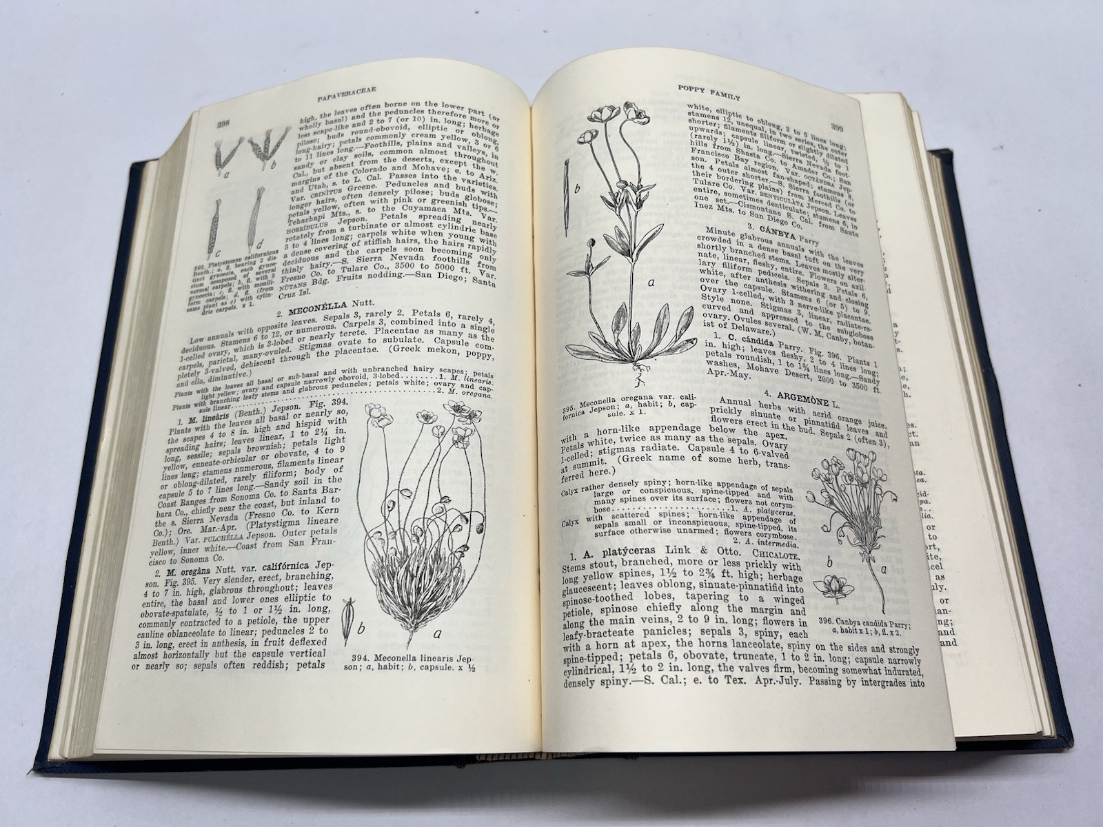 A Manual of the Flowering Plants of California by Willis Linn Jepson 1925 HC