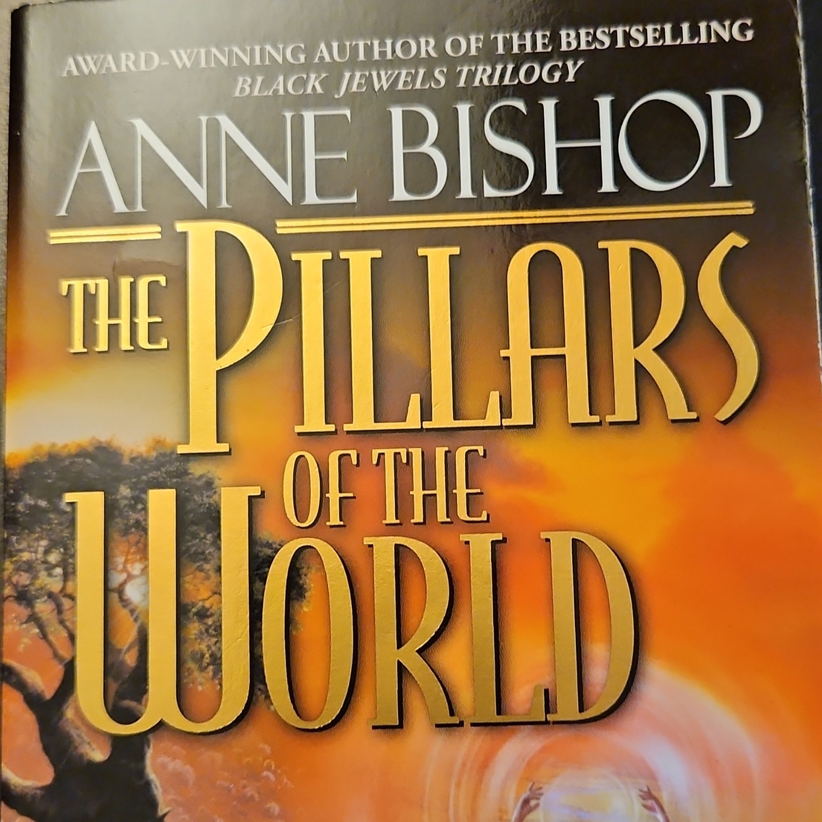 Anne Bishop The Pillars of the World Paperback Fantasy Fiction Novel English