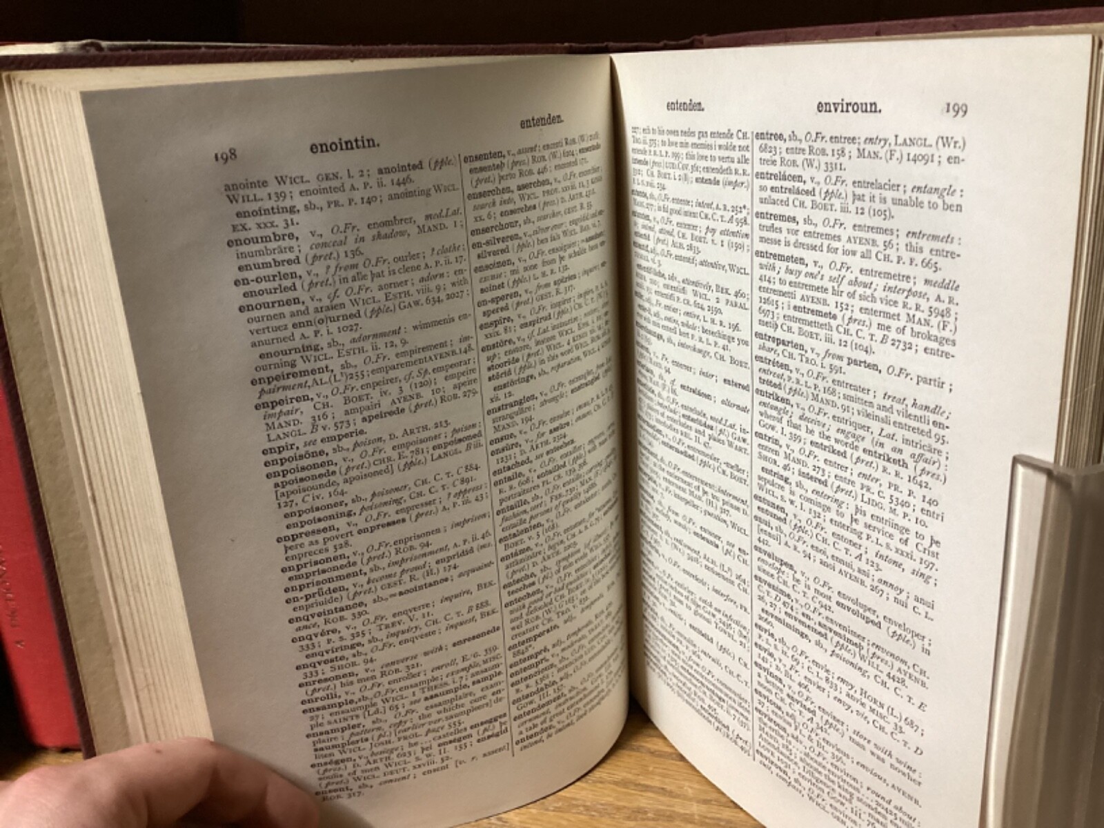 10 RARE Dictionary & Language Books Collection Johannes Rahder Linguistics