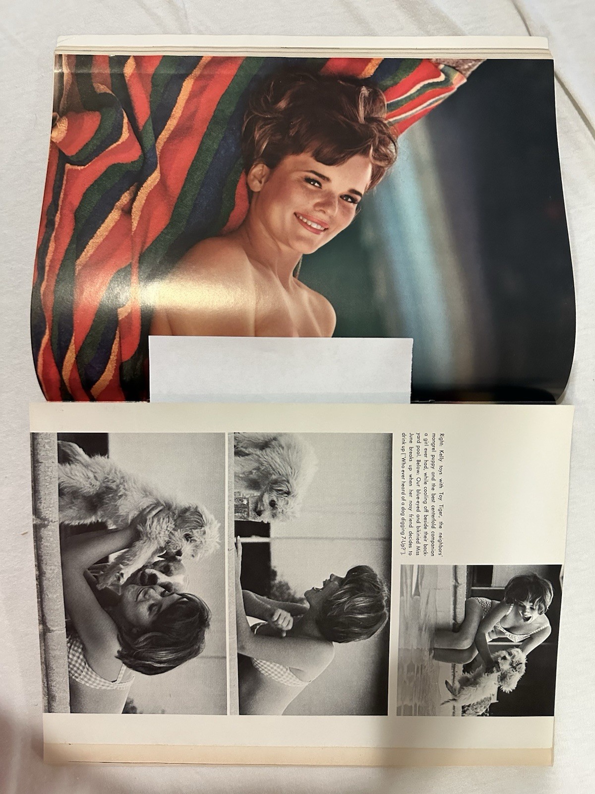1966 Playboy Magazines – Lot of 10 in Excellent Condition, Centerfolds Intact