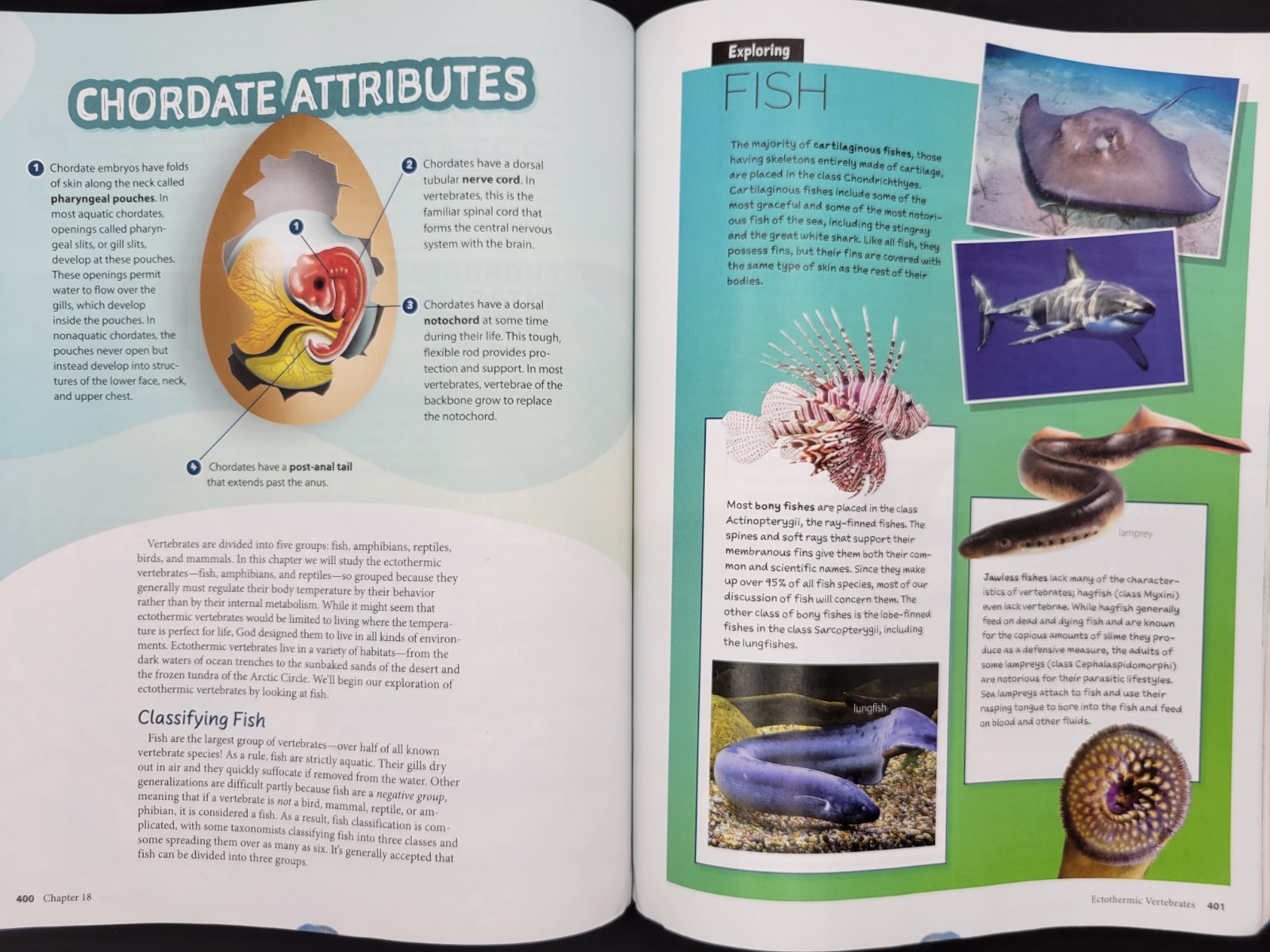 Biology Student Text & Biology Assessment 6th Edition BJU Press PB 528778-003-01