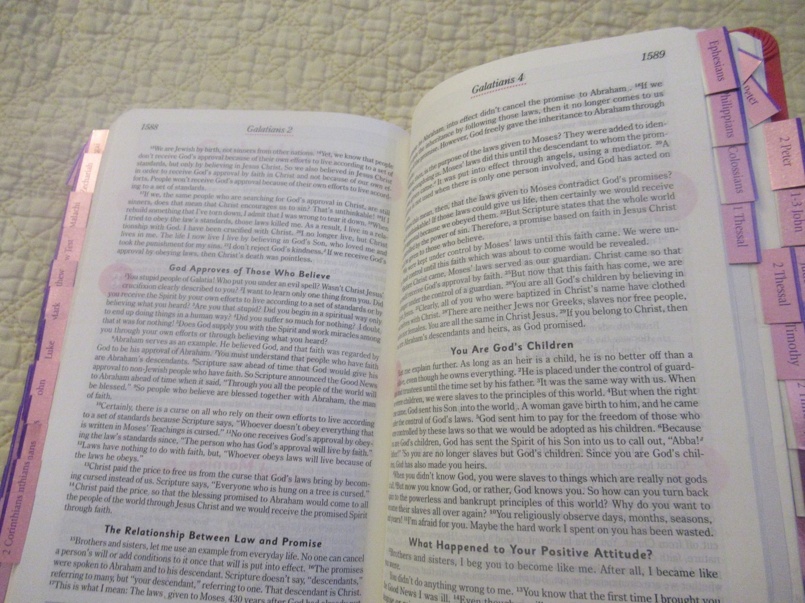 God’s Word for Girls (Pink Faux Leather Bound) (God’s Word Translation)