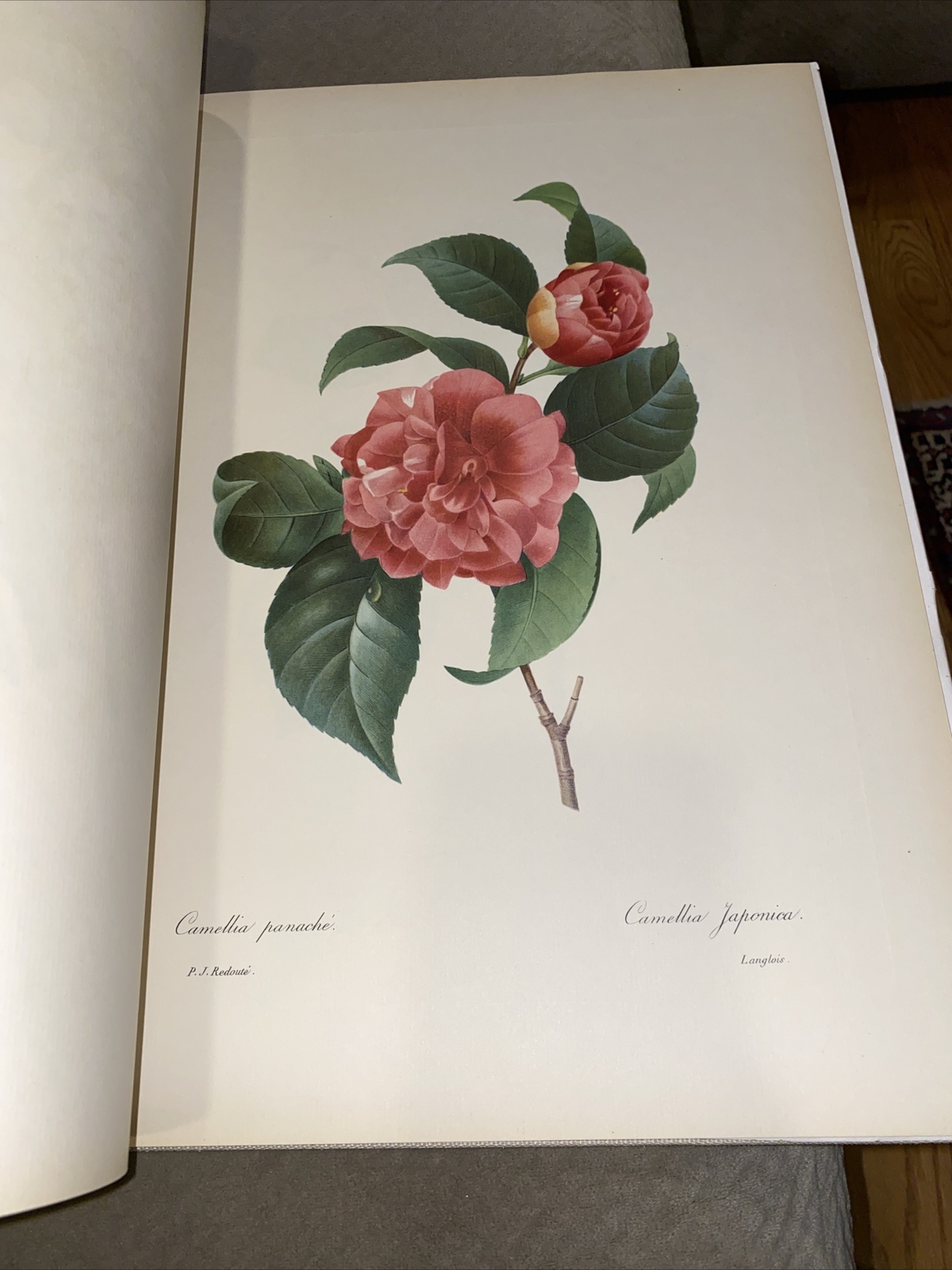1956 Pierre Joseph Resolute Fruits & Flowers Eva Mannering Color Plates Rare