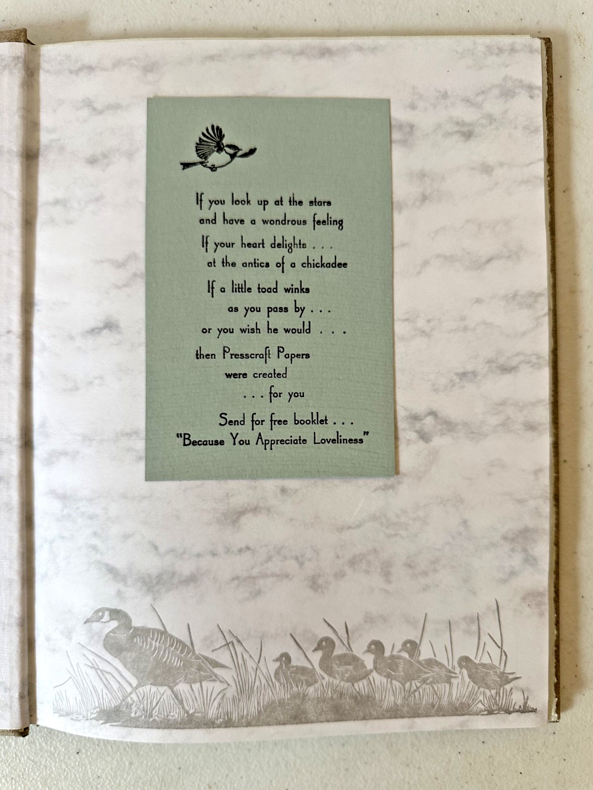 Aggrandize Gwen Frostic 1993 1st ed poetry block print art nature natural animal