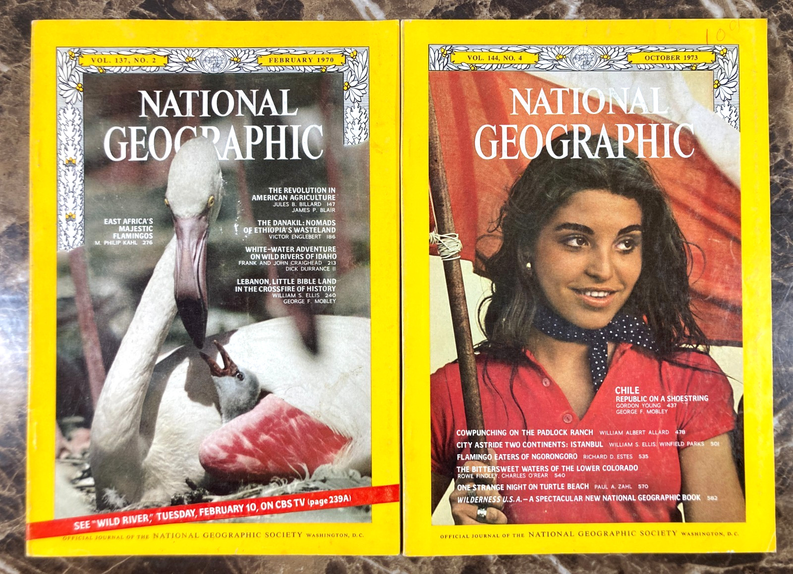 National Geographic Magazine 1968-2024 Lot of 10 Random Pick G-VG No Duplicates