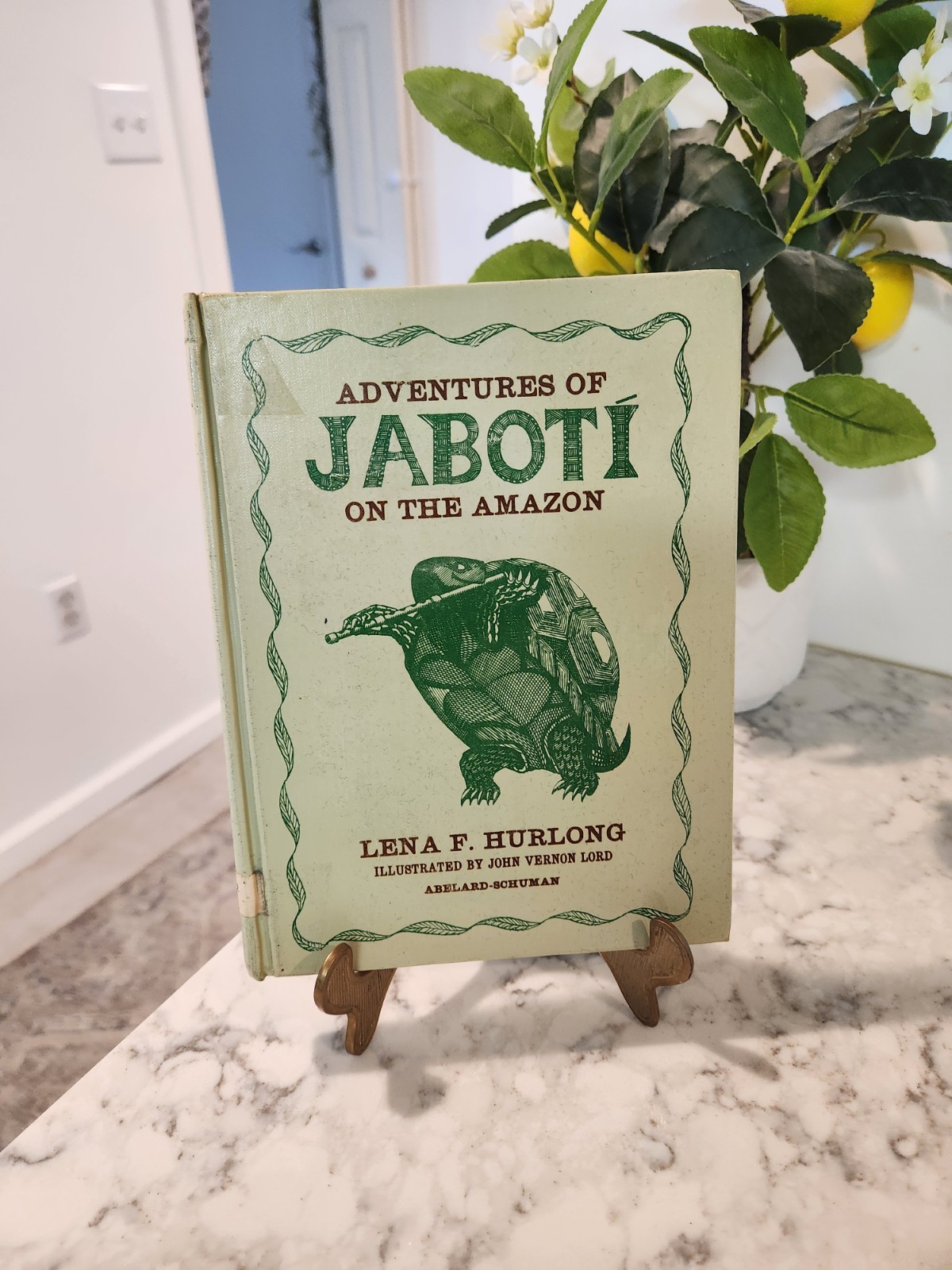 Adventures Of Jaboti On The Amazon By Lena Hurlong HC Rare! Good Illustrations!
