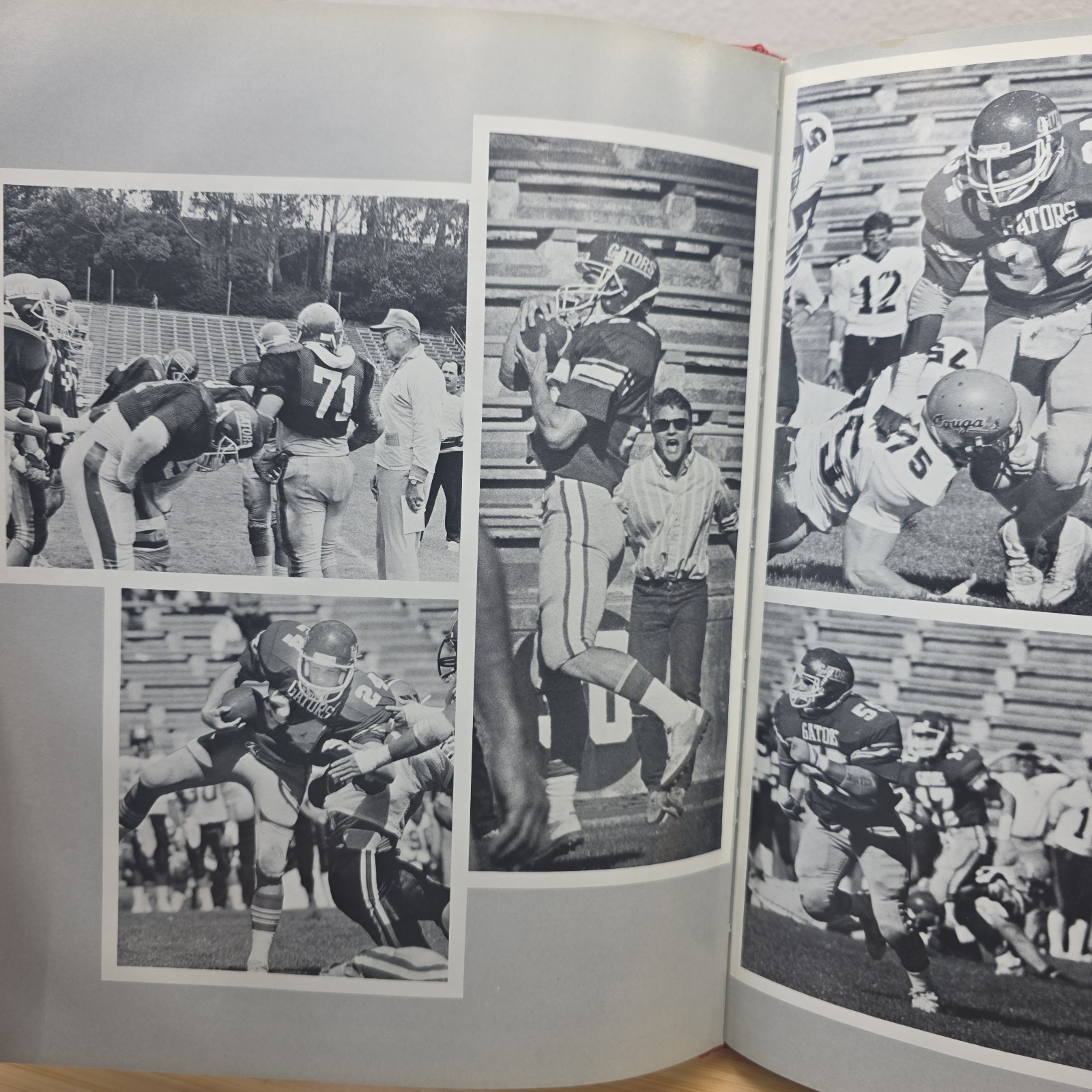 Vintage 1987 Franciscan College Yearbook San Francisco State University CA Gator