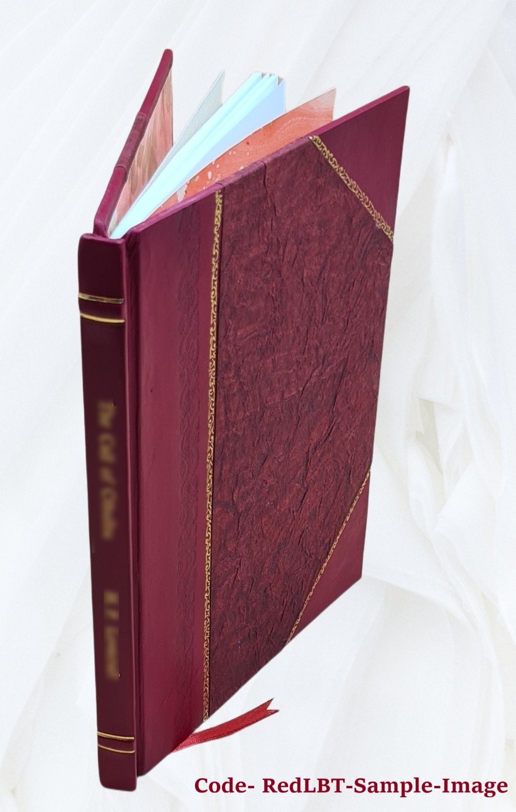 Humanitarianism Its General Principles And Progress 1906 [Leather Bound]