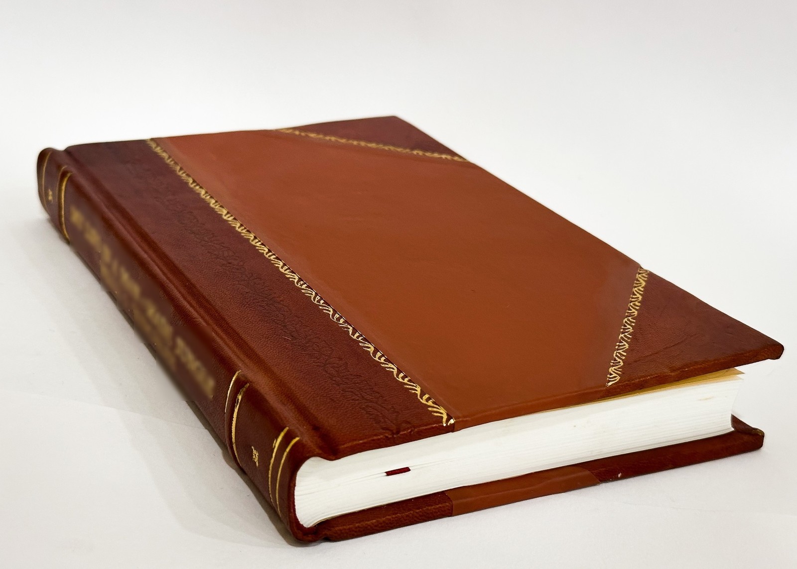 Ambroise Pare and His Times, 1510-1590, by Stephen Paget (1897) [Leather Bound]