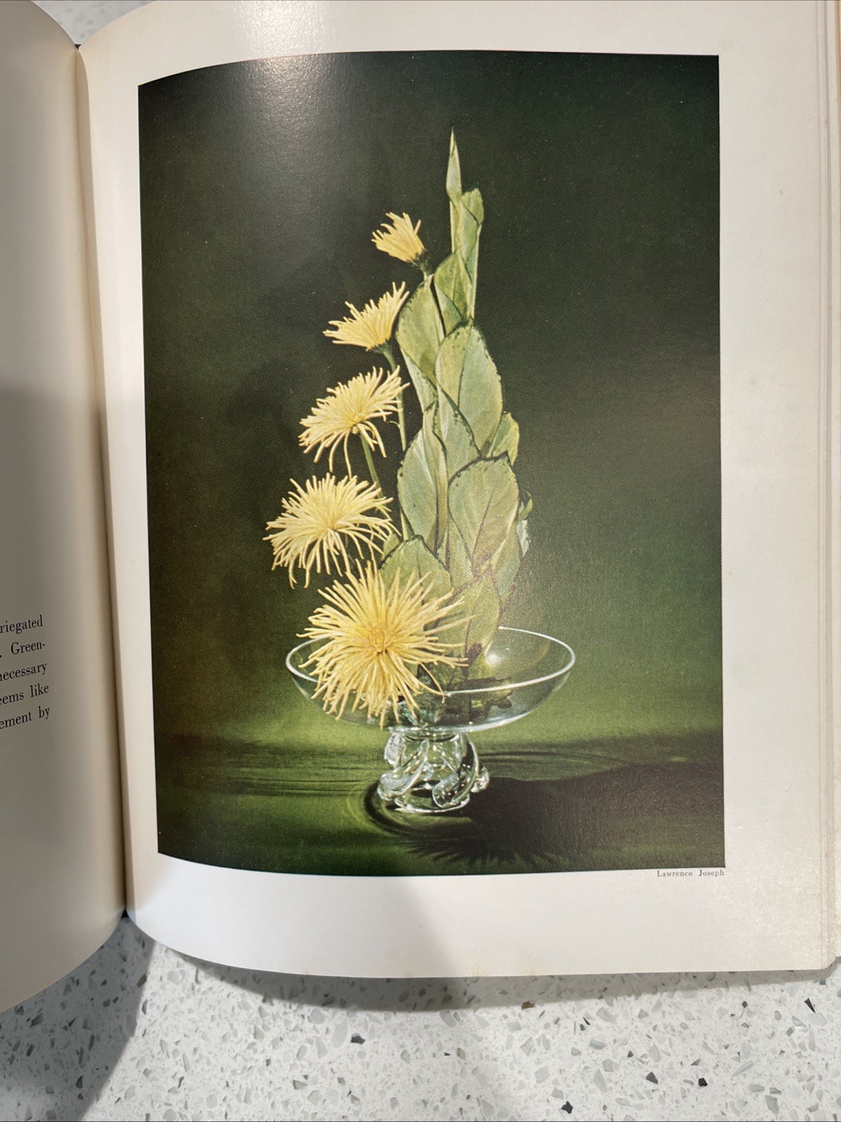 Flowers In Glass By Julia Berrall 1954 Signed HCDJ 1st Edition Rare HTF