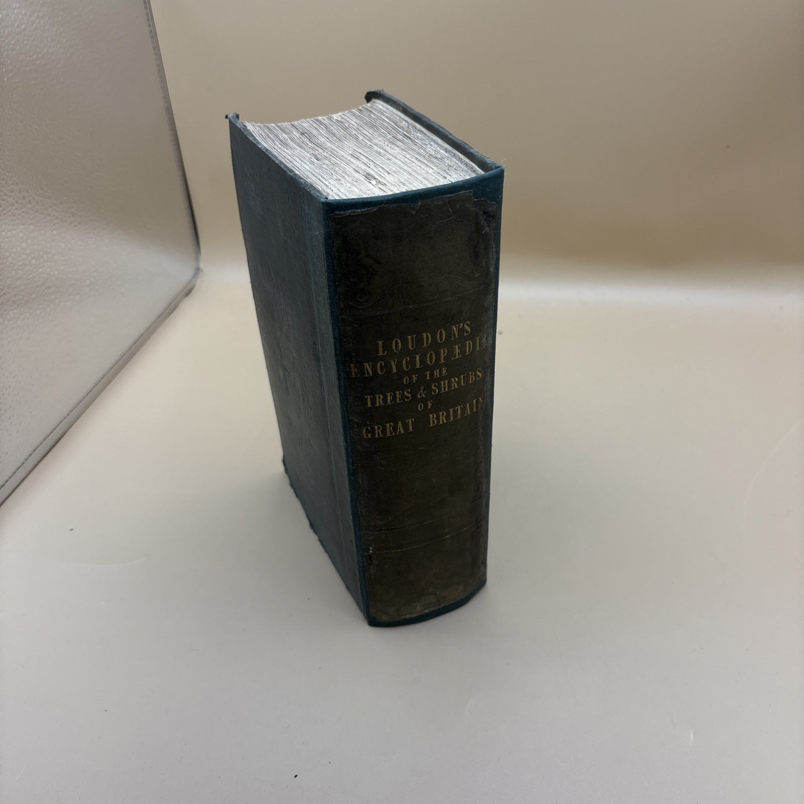 Londons Encyclopaedia Of The Trees and Shrubs Of Great Britain – 1842
