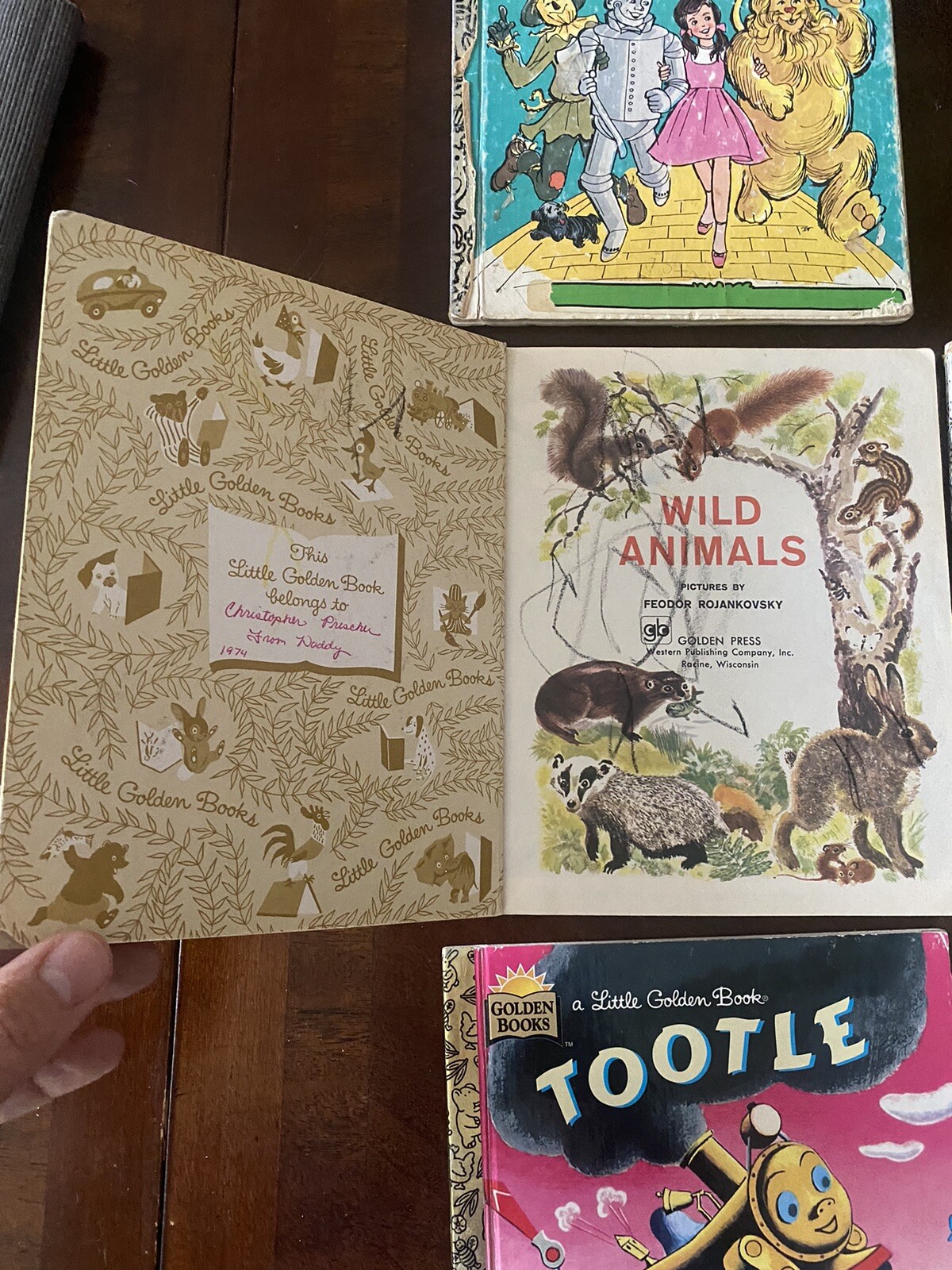Little Golden Books Lot Of 16 Books: Wizard Of Oz, Pussy Willow, Tootle, Etc.