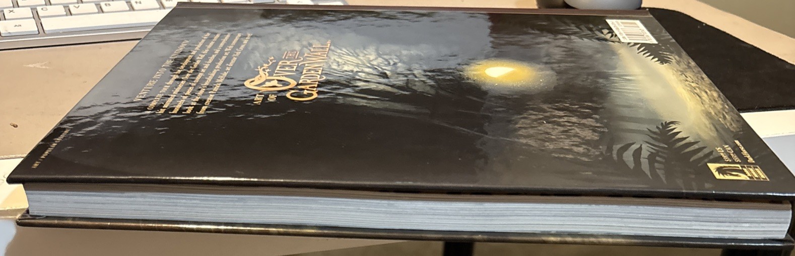 The Art Of Over The Garden Wall Book