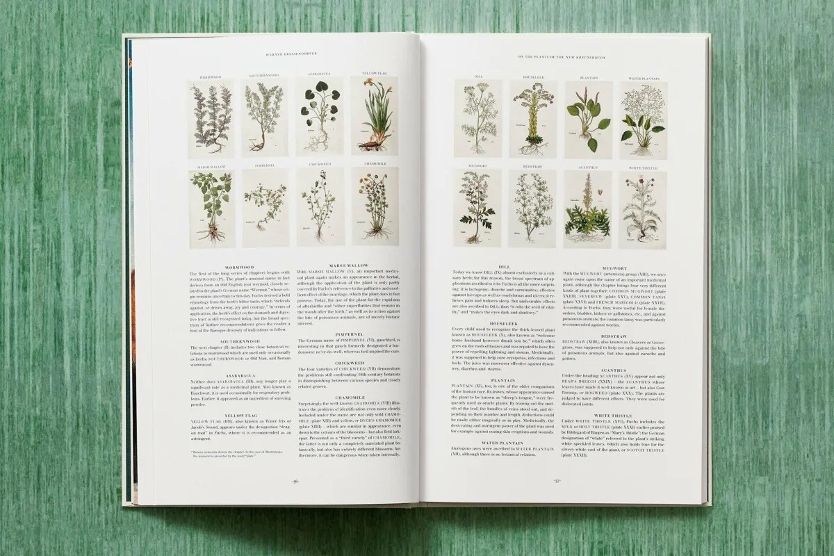 Leonhart Fuchs. The New Herbal by Werner Dressendörfer – Renaissance Botany NEW