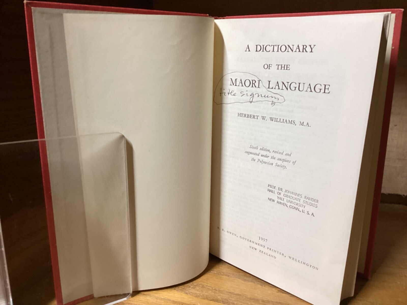 10 RARE Dictionary & Language Books Collection Johannes Rahder Linguistics