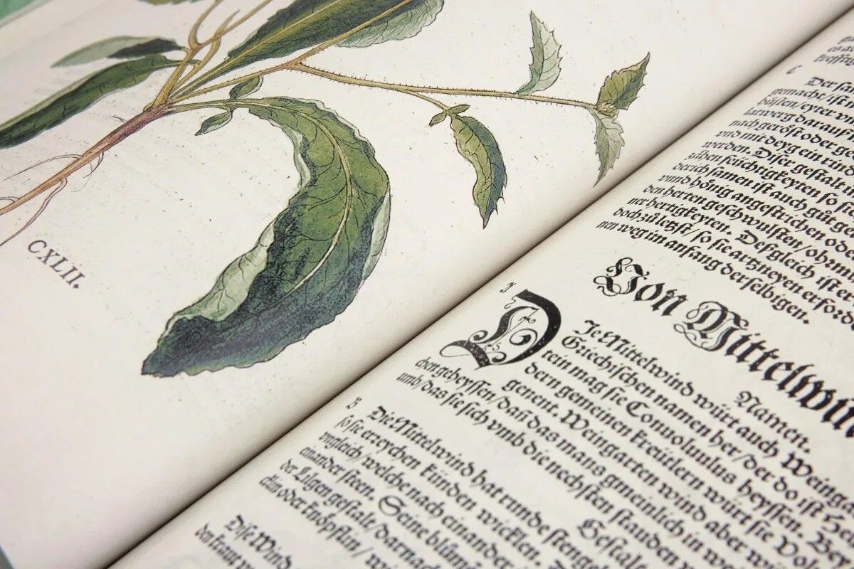 Leonhart Fuchs. The New Herbal by Werner Dressendörfer – Renaissance Botany NEW