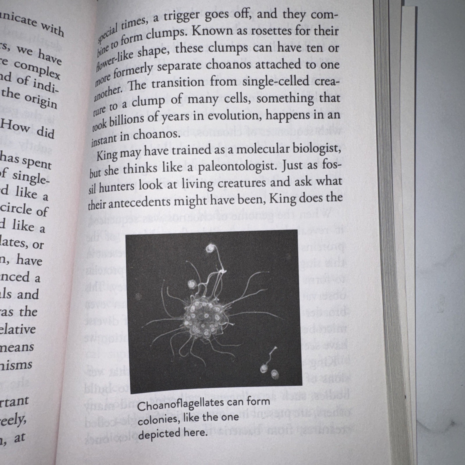 Some Assembly Required : Decoding Four Billion Years of Life, from Ancient…