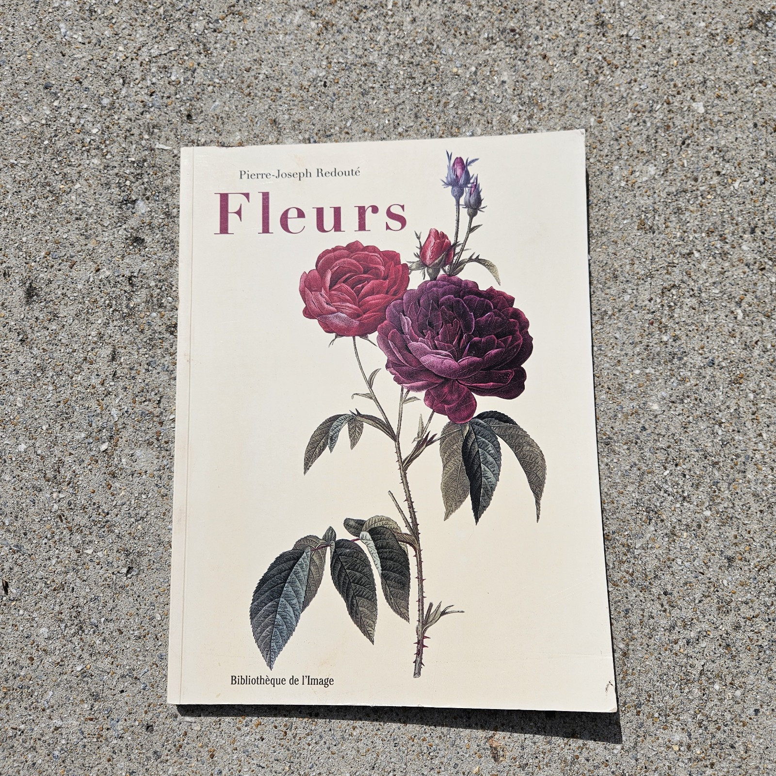 Fleurs – Pierre-Joseph Red… –