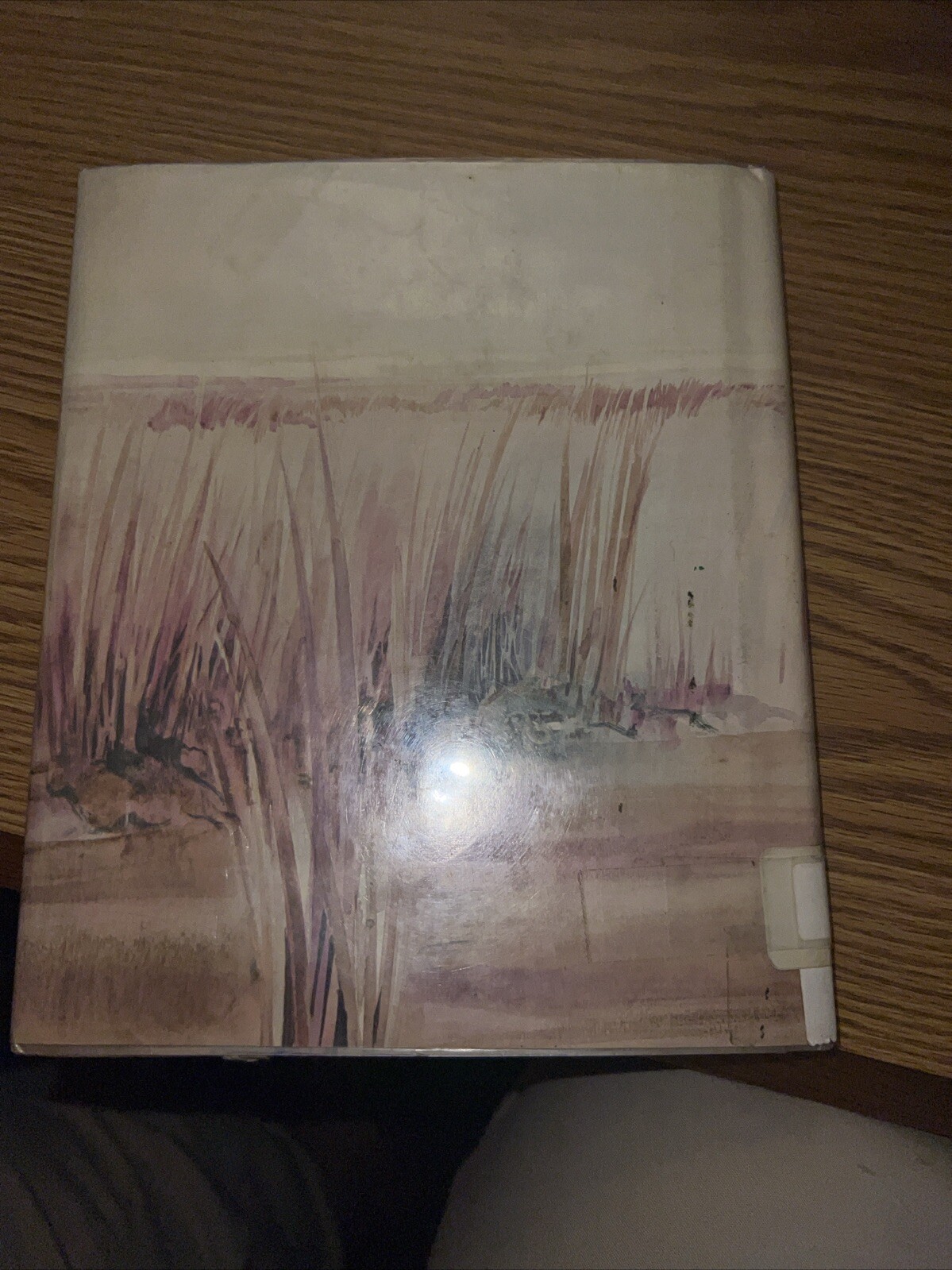 Kelly’s Creek By Doris Smith 1975 1st/1st HC/DJ Ex Library