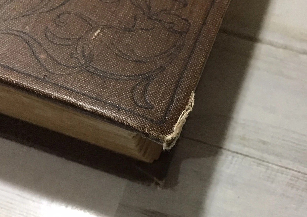 Shepp’s Giant Library 1897 A Collection Of 8 Books In One