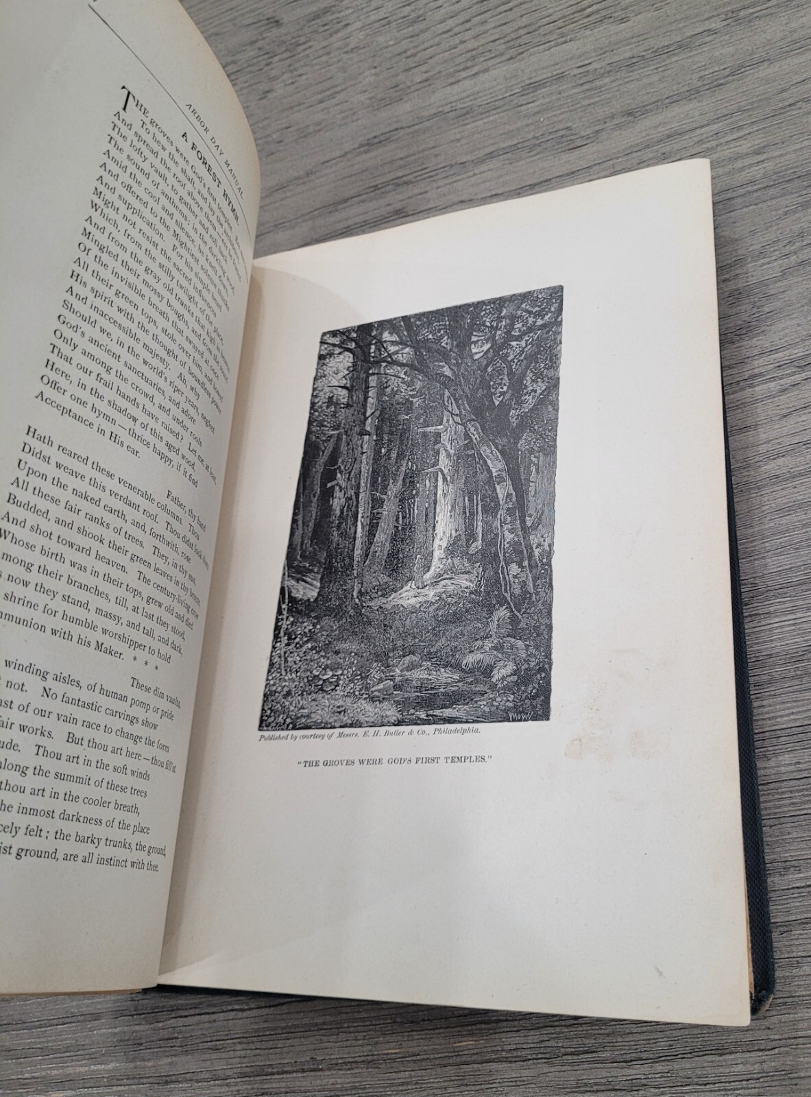 Arbor Day Manual – Large 1896 Program Aid Book by Charles Skinner 475 Pages