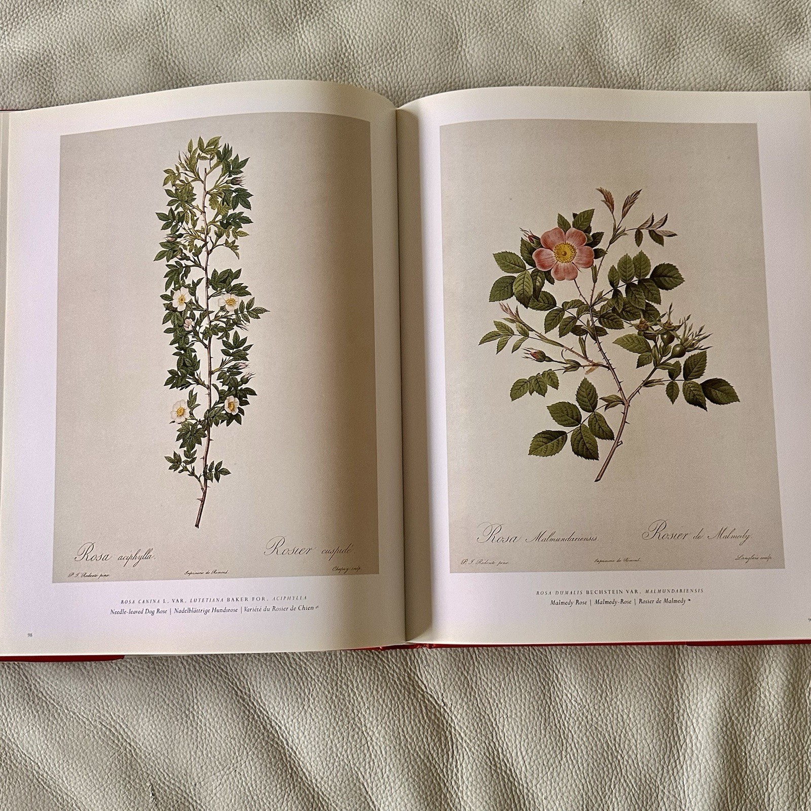 Redoute The Roses 25th Anniversary Taschen 2007 Book Complete Full Page Plates