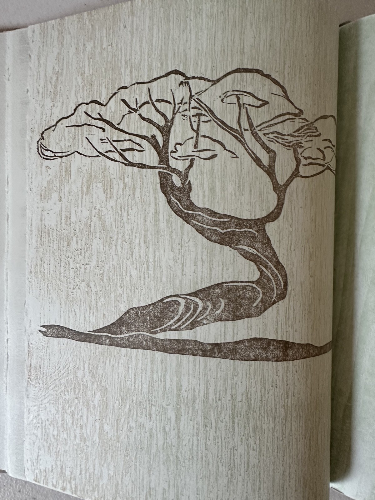 Aggrandize Gwen Frostic 1993 1st ed poetry block print art nature natural animal