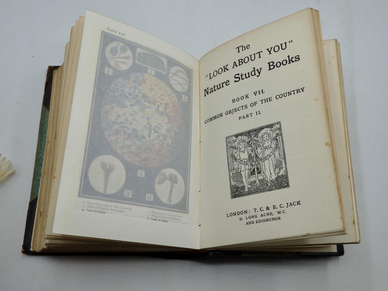The LOOK ABOUT YOU NATURE BOOK – Books 1 to 7 in One Volume by Thomas Hoare