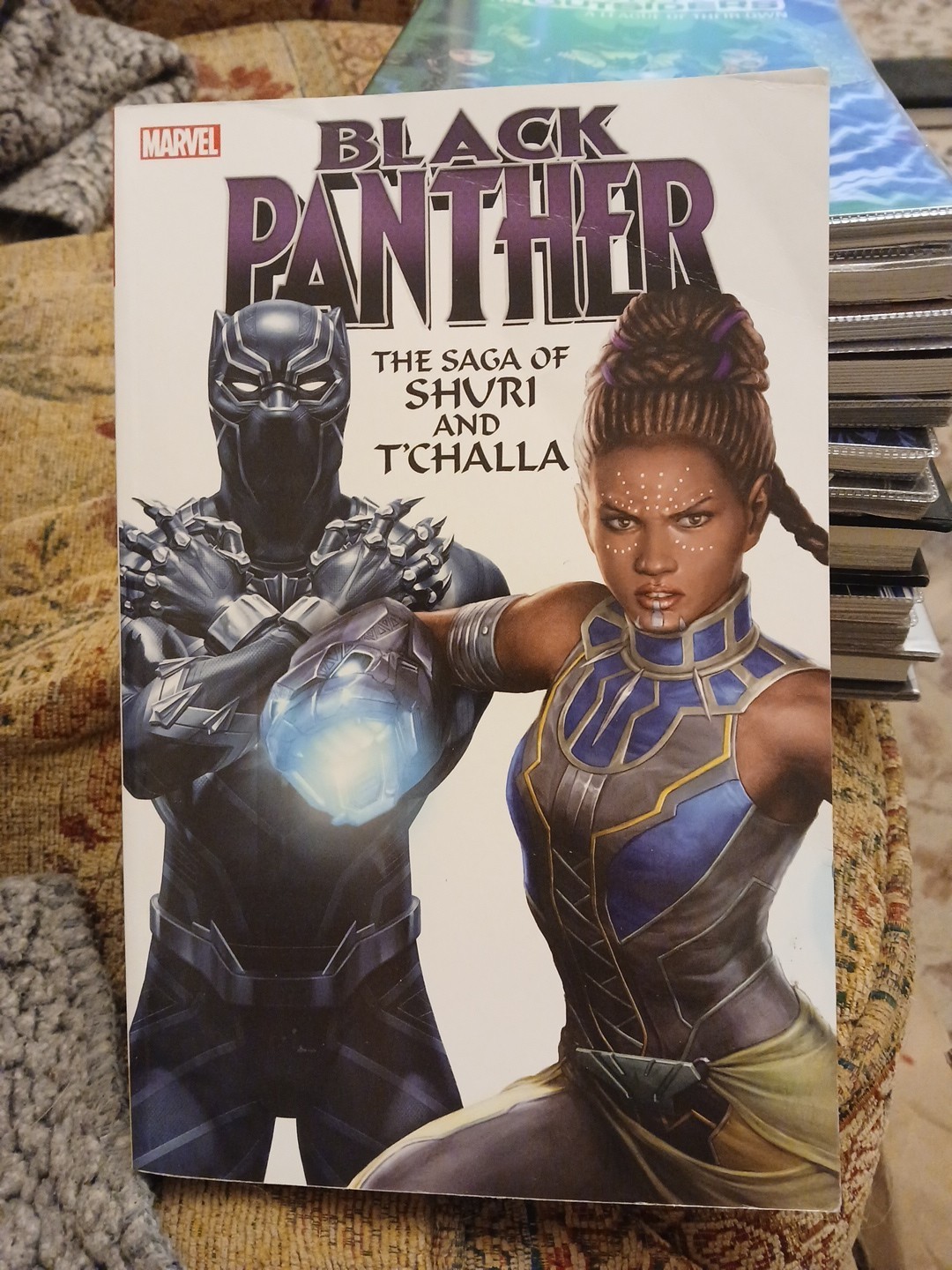 BLACK PANTHER THE SAGA OF SHURI AND TCHALLA GRAPHIC NOVEL (352 Pages) Paperback