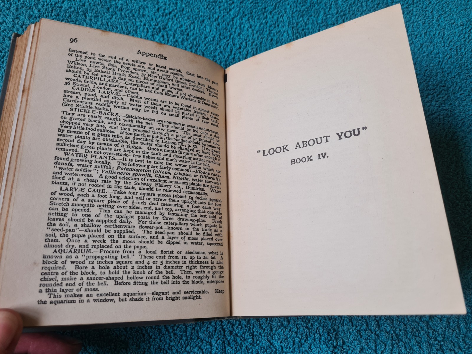The Look About You Nature Book, Books 1 to 7 in one volume, T.C. & E.C. Jack
