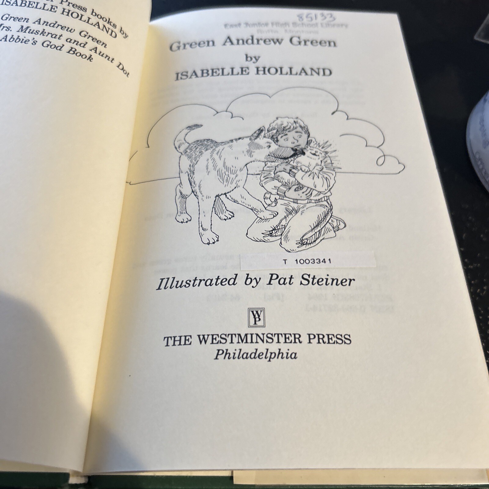 GREEN ANDREW GREEN BY ISABELLE HOLLAND, HARDCOVER , EX LIBRARY WITH DJ