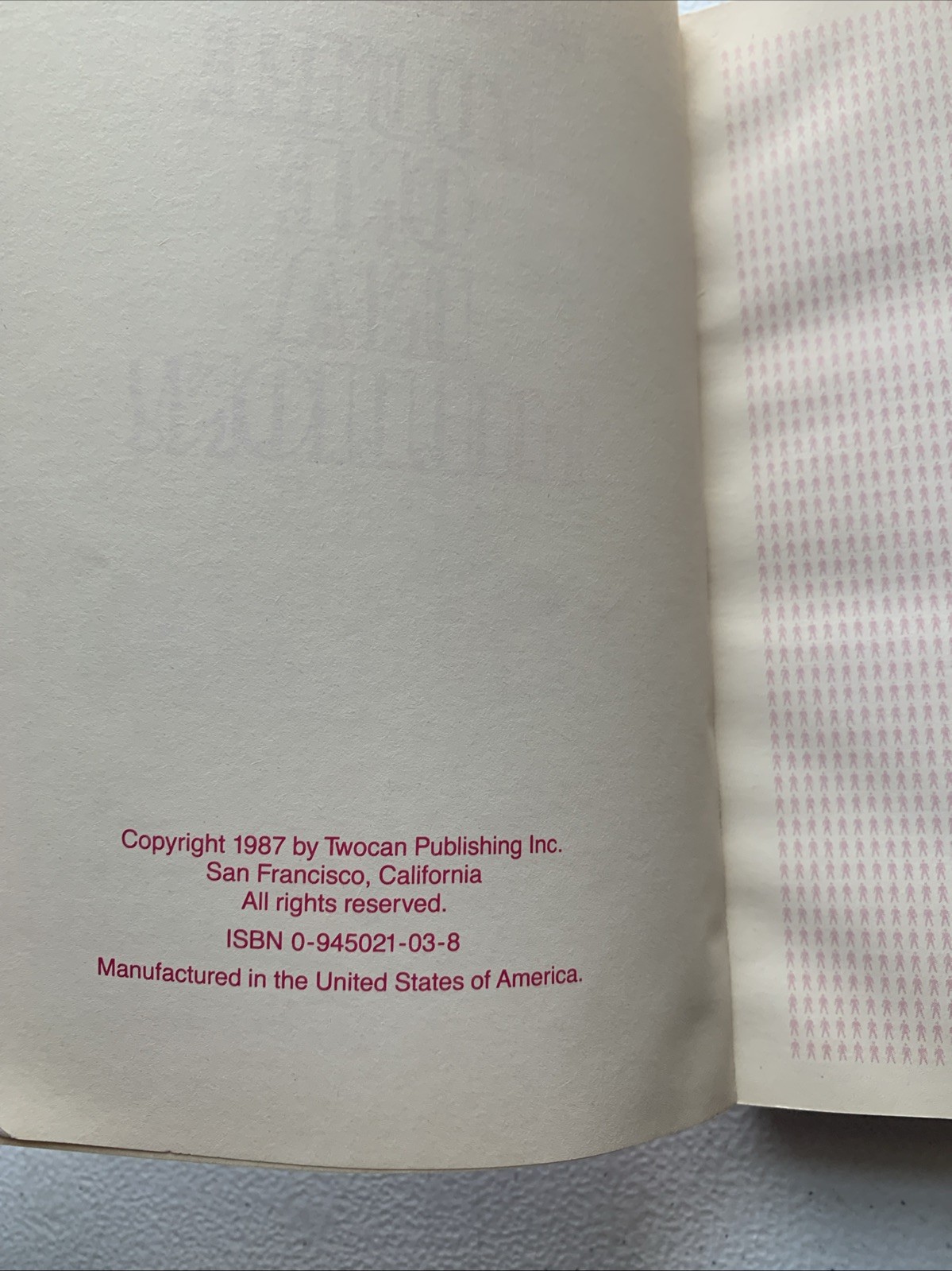 1987 YOU’RE ONE IN A MILLION 400 Pages Tear Out Notepad Twocan Publishing Book