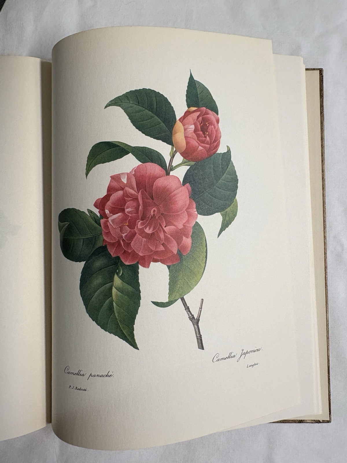 Redoute’s Fruits and Flowers No 4 1964 First Ed Golden Ariels Beautiful Plates