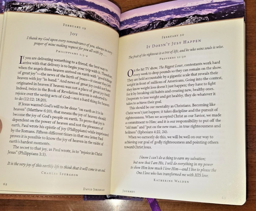 David Jeremiah JOURNEY ‘Your Daily Adventure With God’ Faux Leather Bound 2011