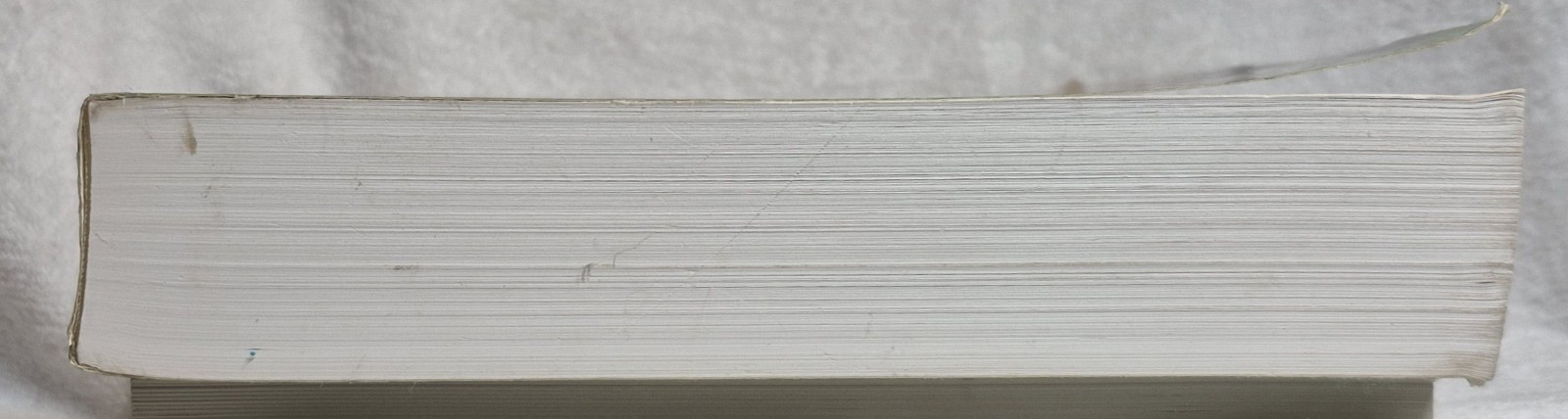 The Italians of Lackawanna, NY (2009 • Andreozzi • Signed) Good
