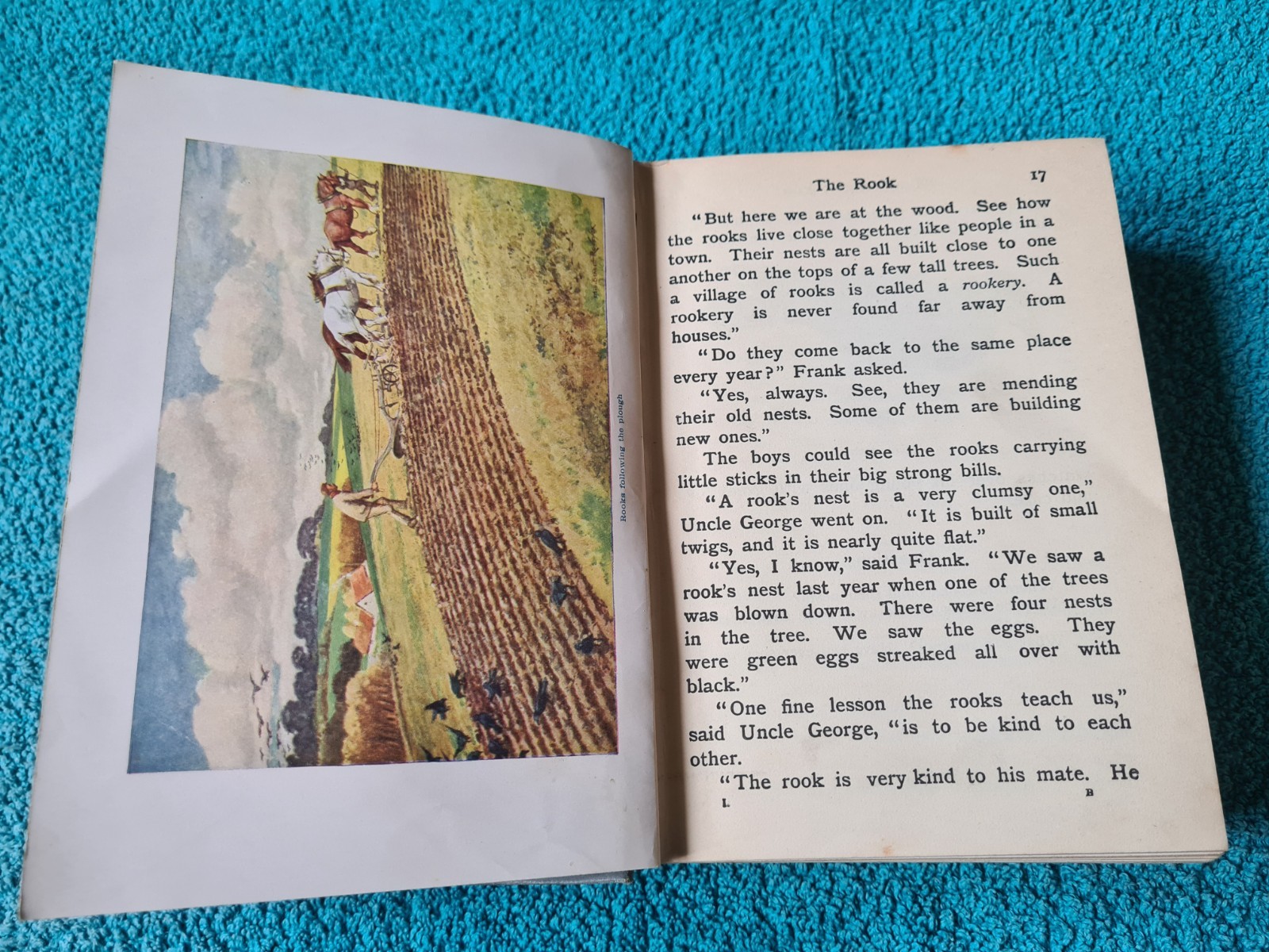 The Look About You Nature Book, Books 1 to 7 in one volume, T.C. & E.C. Jack