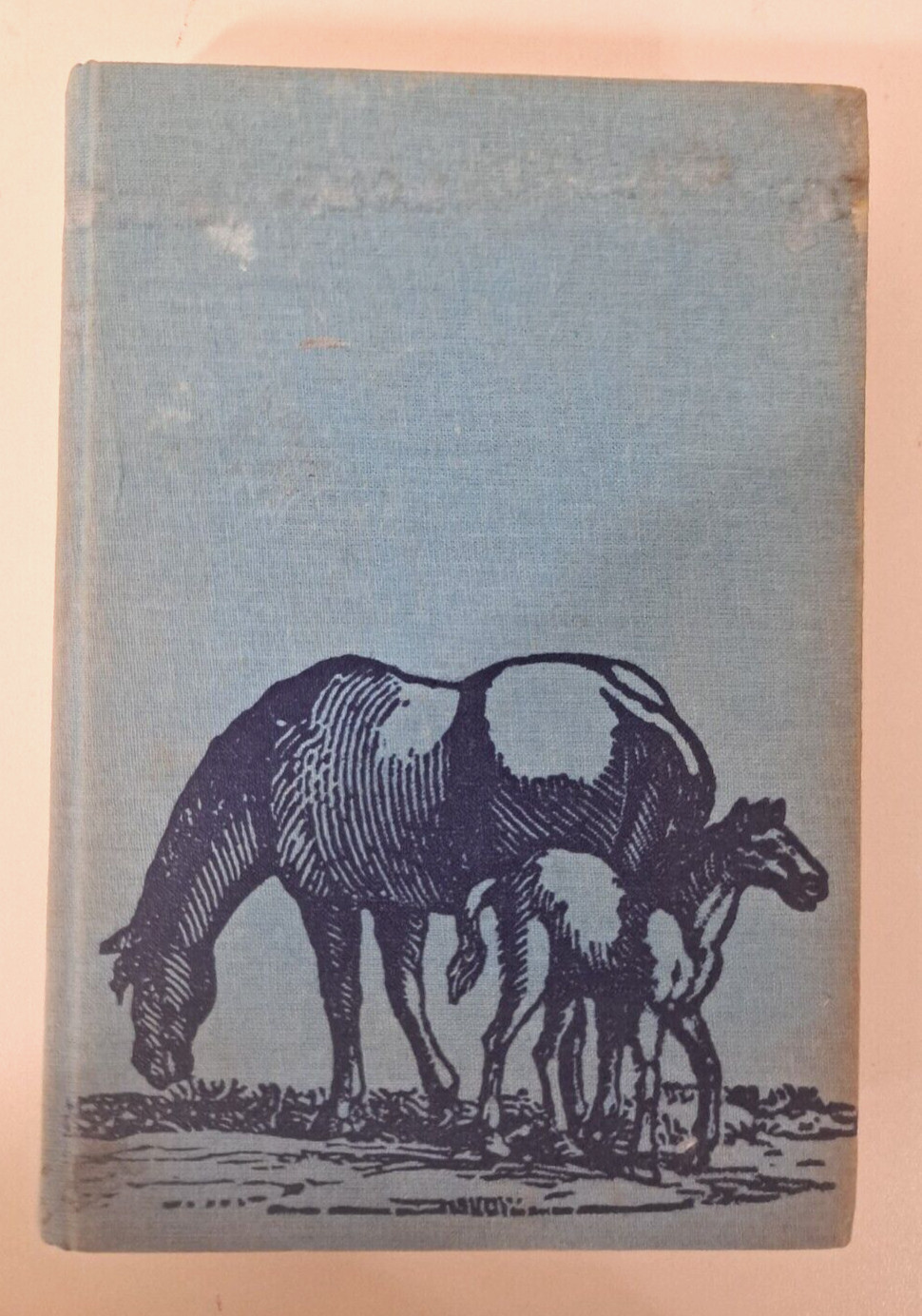 Jane Carruth 1978 Horse & Pony Stories Hardback Book 6×8.5×1.5 400 pages