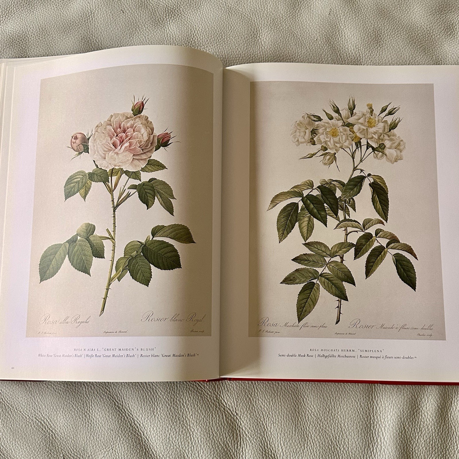 Redoute The Roses 25th Anniversary Taschen 2007 Book Complete Full Page Plates