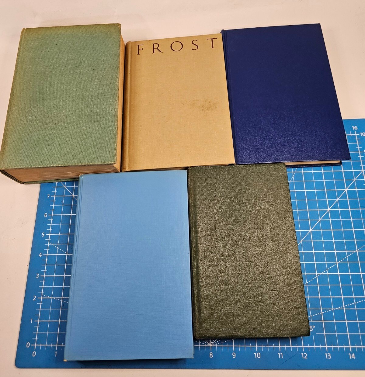 Lot of 5 Vintage Books for Staging, Decoration, Collectable Hardbacks