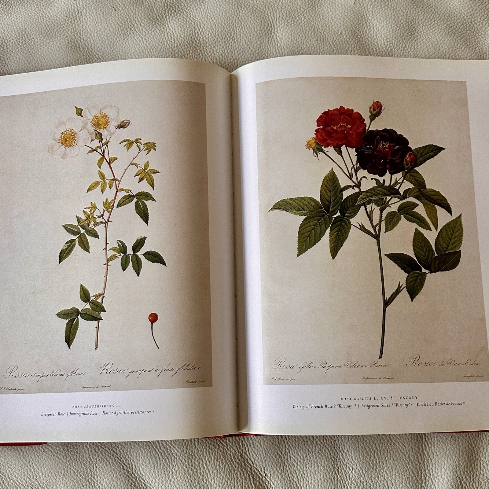 Redoute The Roses 25th Anniversary Taschen 2007 Book Complete Full Page Plates