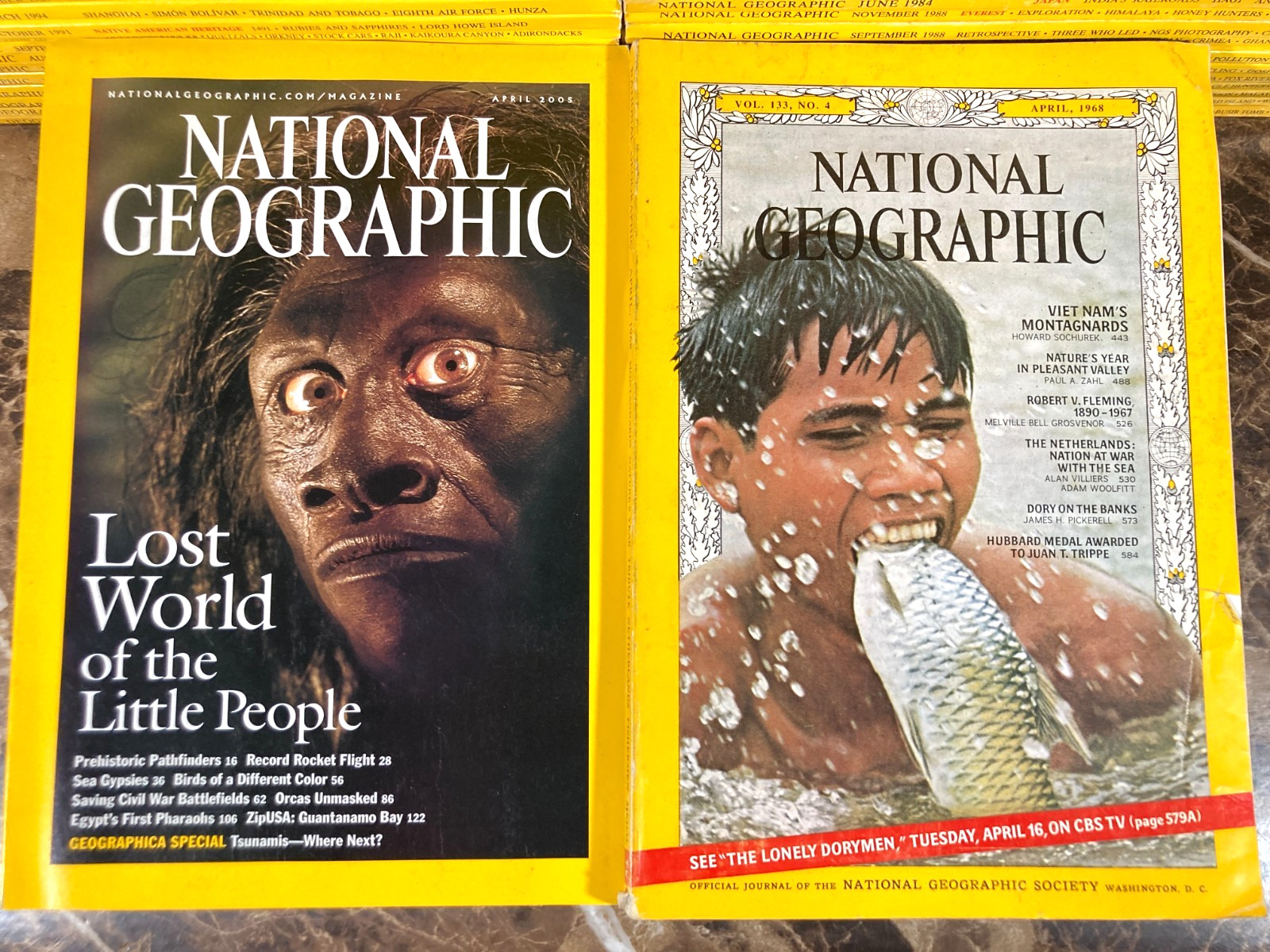 National Geographic Magazine 1968-2024 Lot of 10 Random Pick G-VG No Duplicates